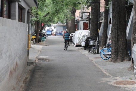 育樹胡同 - 位于北京市東城區(qū)東直門北小街西側(cè)