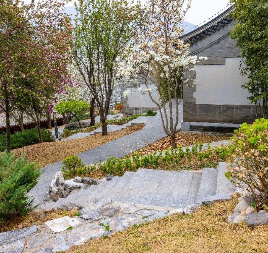 庭院
